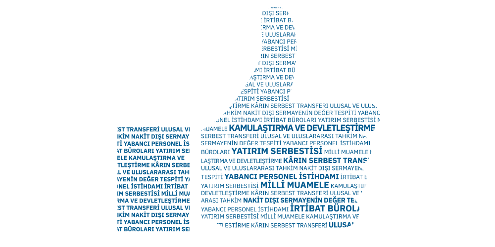Doğrudan Yabancı Yatırımlar (DYY) Kanunu​ Görseli 